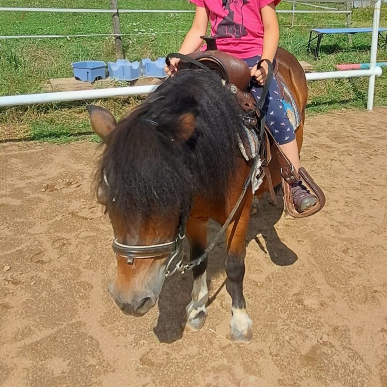 Nur Du und Dein Pony