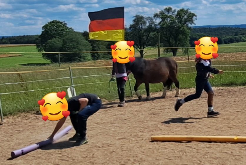 Alle voll dabei