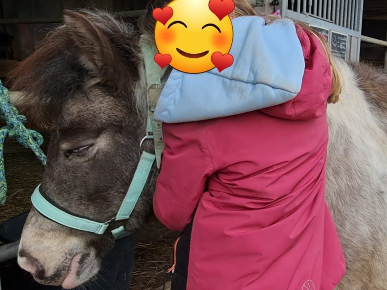 Ruhe tut allen gut