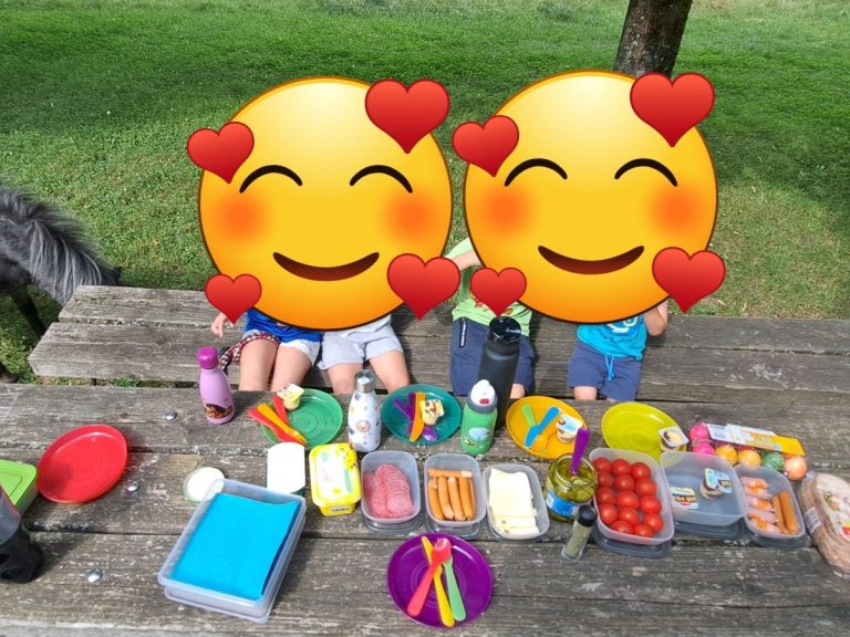 Pony Picknick für jeden was dabei