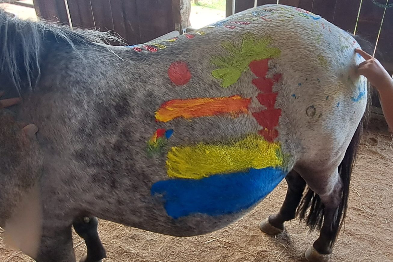 Es wird Bunt